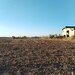 Ciolpani, COR,