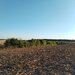 Ciolpani, COR,