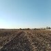 Ciolpani, COR,