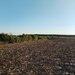 Ciolpani, COR,